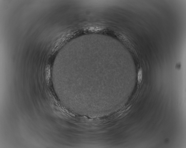 X0000116121299200912141035