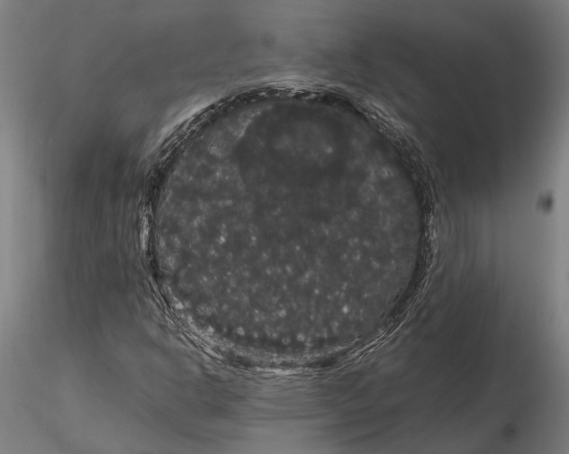 X0000116121302200912141035