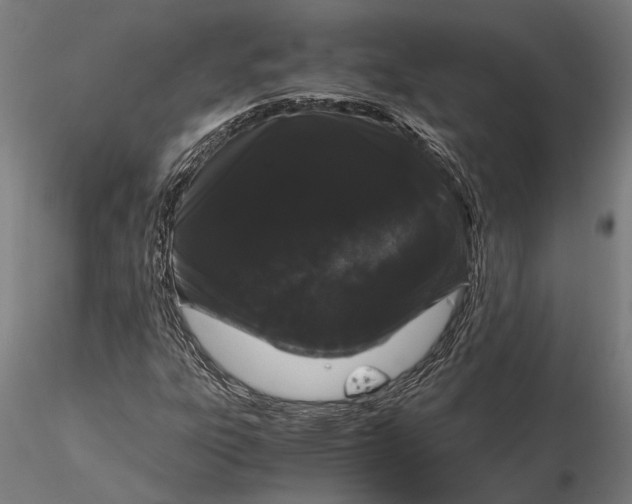 X0000116121303200912141035