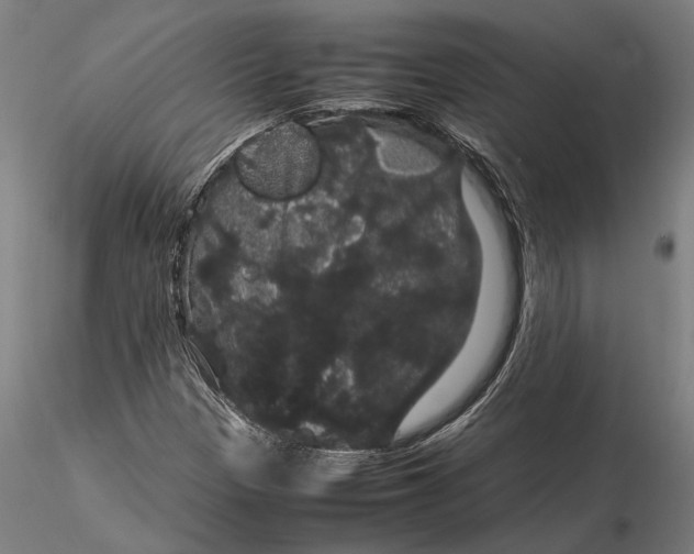 X0000116121305200912141035