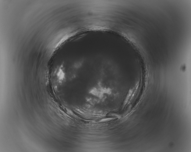 X0000116121306200912141035