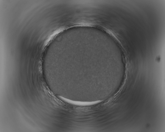 X0000116121307200912141035