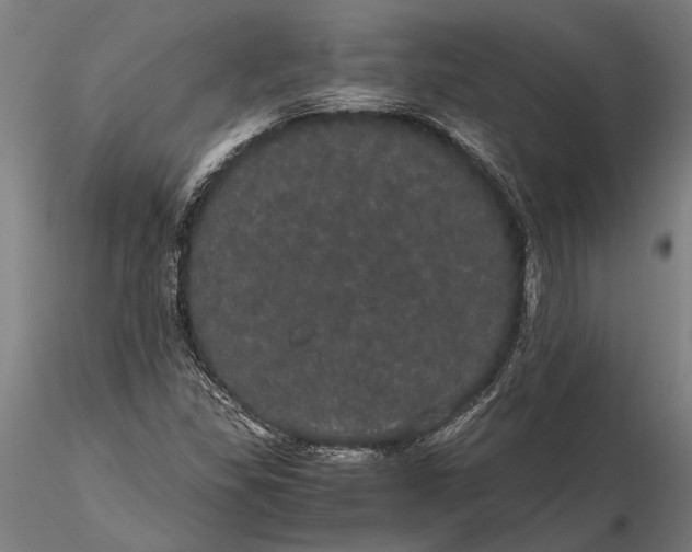 X0000116121309200912141035