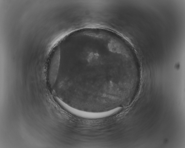 X0000116121311200912141035