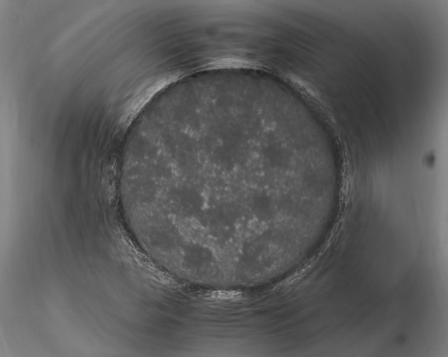 X0000116121313200912141035