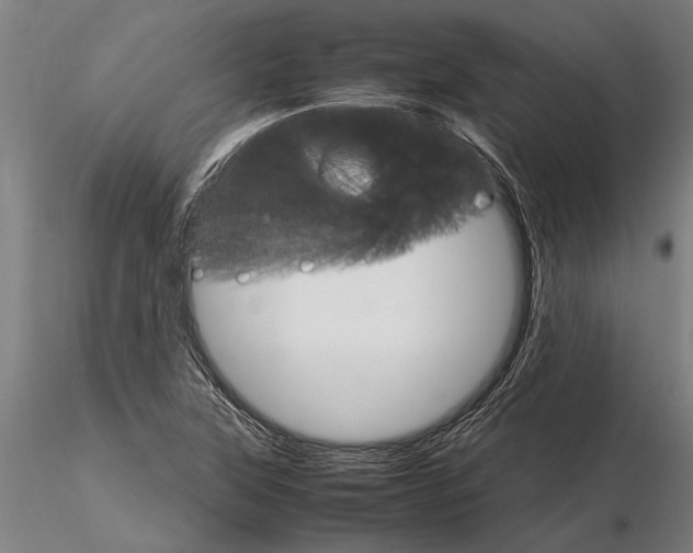 X0000116121315200912141035