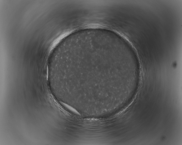 X0000116121317200912141035