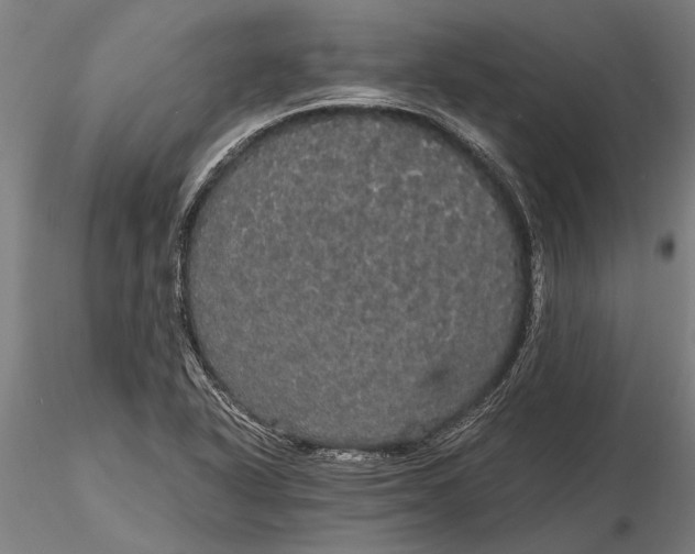 X0000116121318200912141035