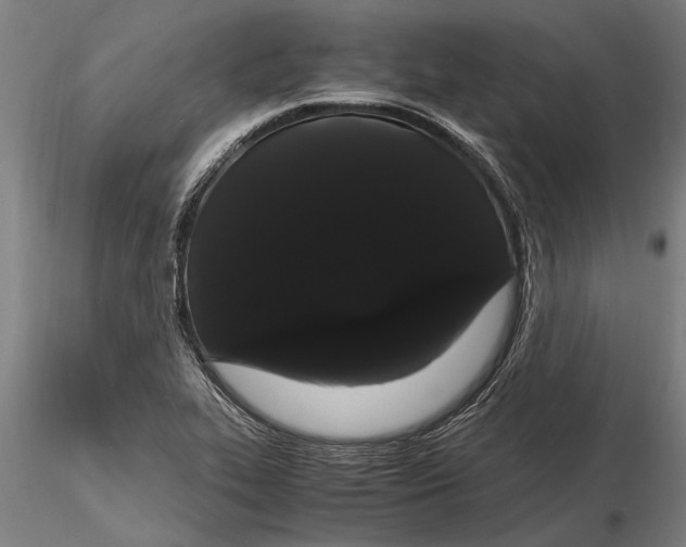 X0000116121319200912141036