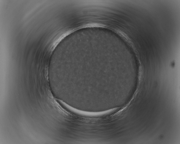 X0000116121321200912141036