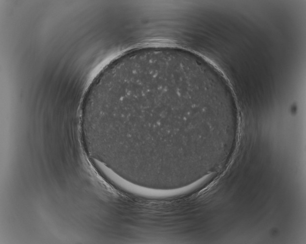 X0000116121325200912141036