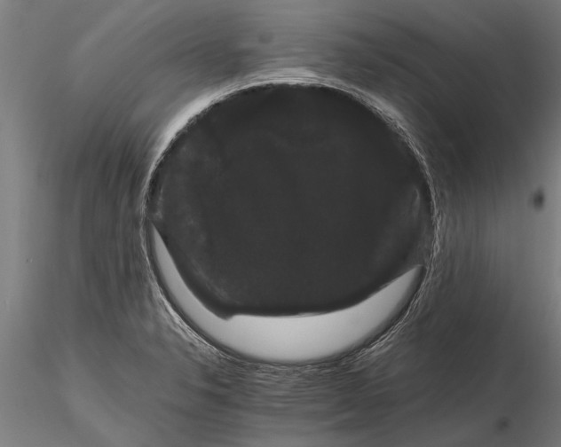 X0000116121326200912141036