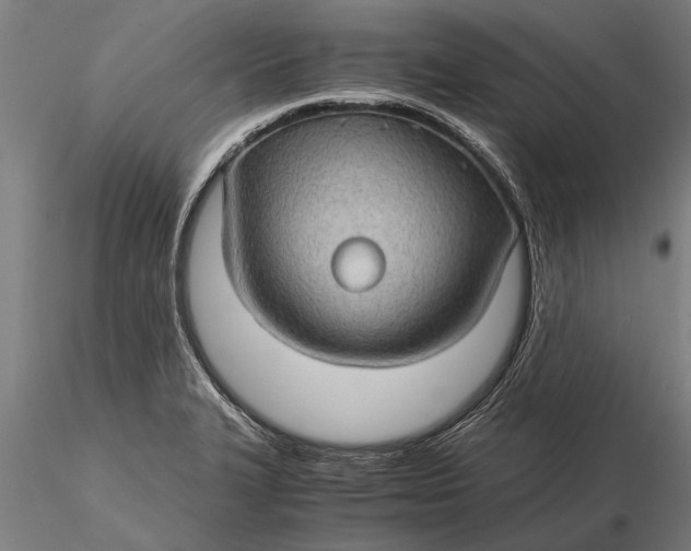 X0000116121327200912141036