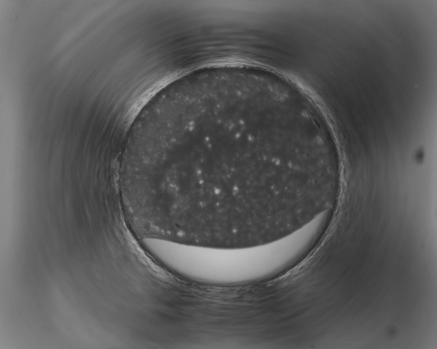 X0000116121329200912141036