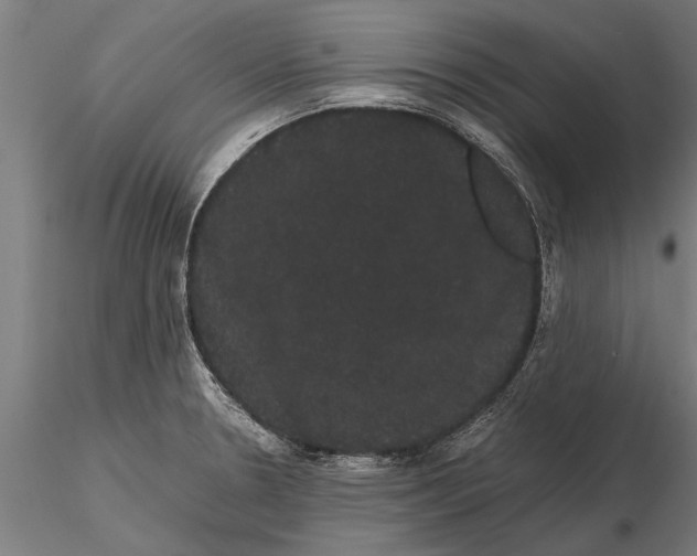 X0000116121330200912141036