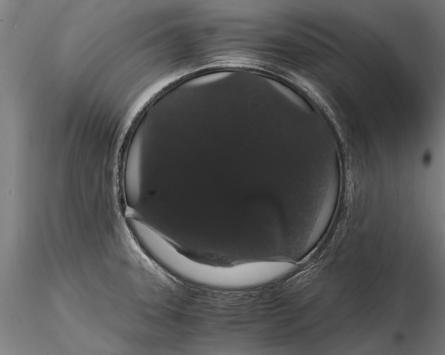 X0000116121331200912141036