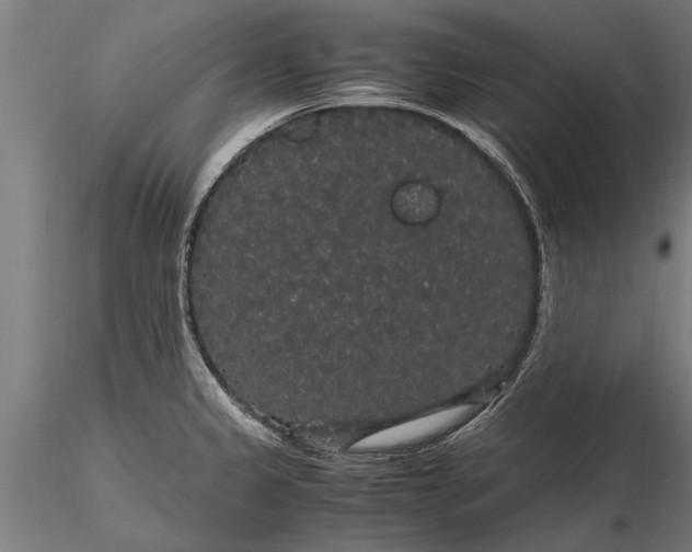 X0000116121333200912141036