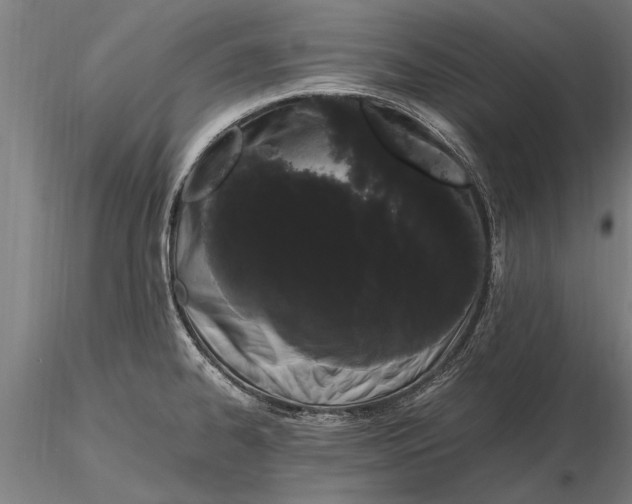 X0000116121334200912141036