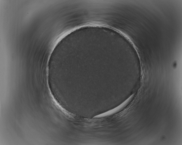 X0000116121335200912141036