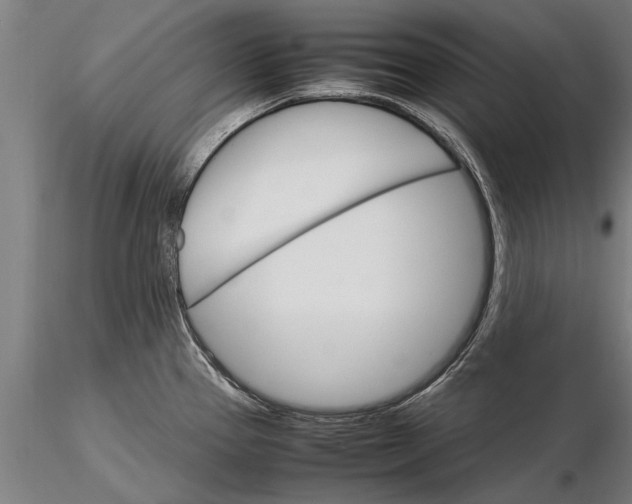 X0000116121337200912141036