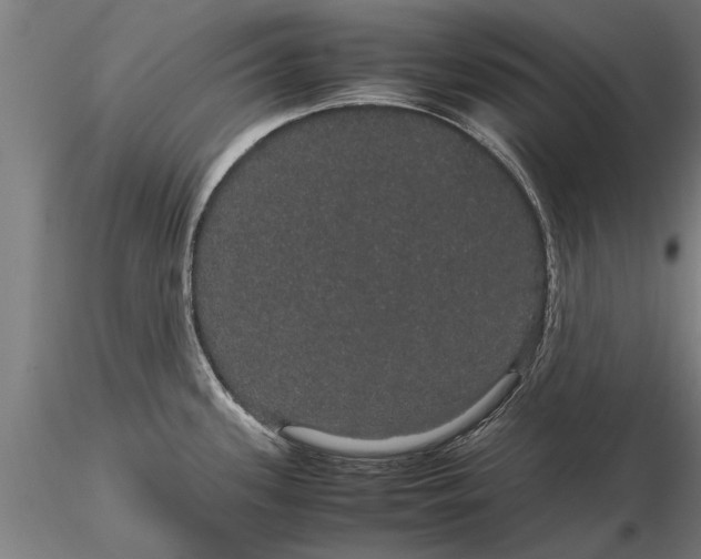 X0000116121339200912141036