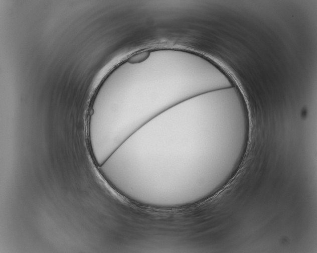 X0000116121341200912141036