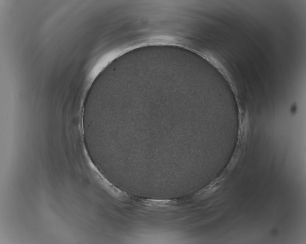 X0000116121342200912141036