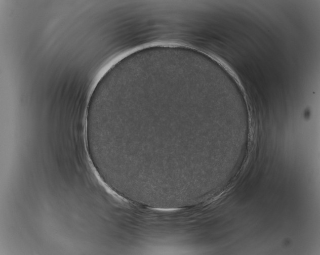 X0000116121343200912141036