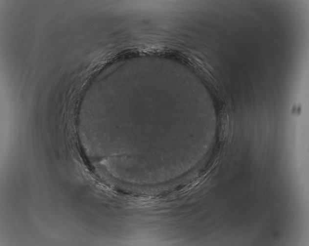 X0000116121345200912141035