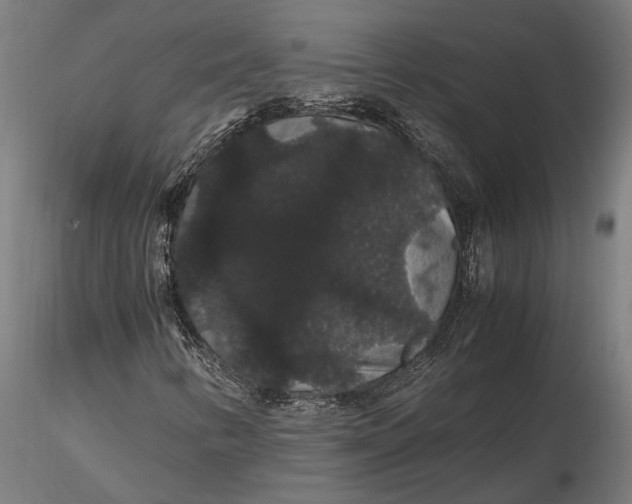 X0000116121346200912141035