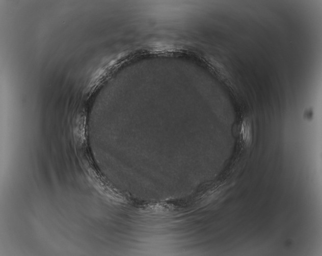 X0000116121348200912141035