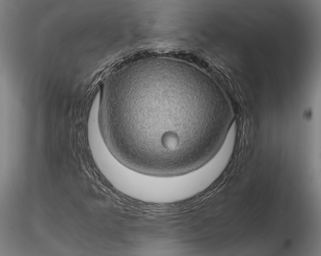 X0000116121349200912141035