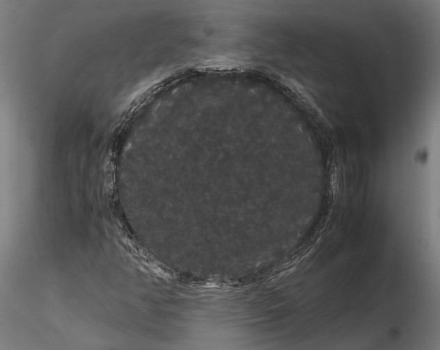 X0000116121350200912141035