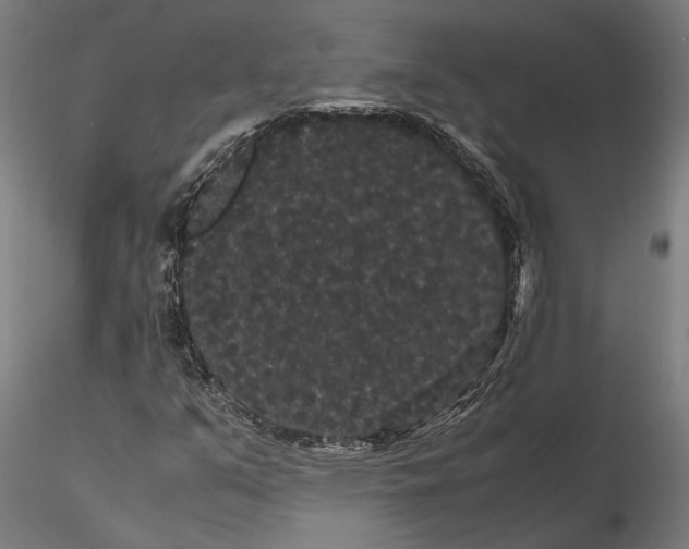 X0000116121351200912141035