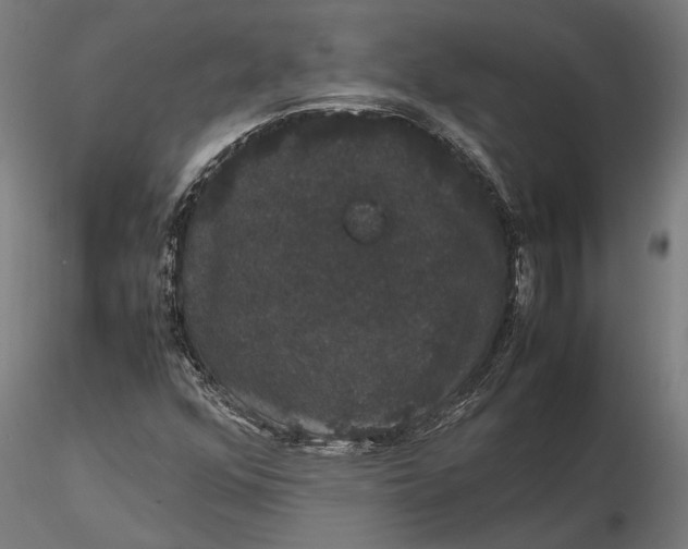 X0000116121352200912141035