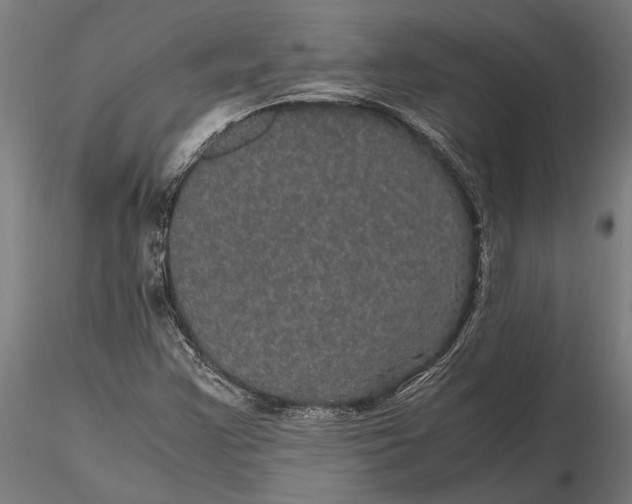 X0000116121355200912141035