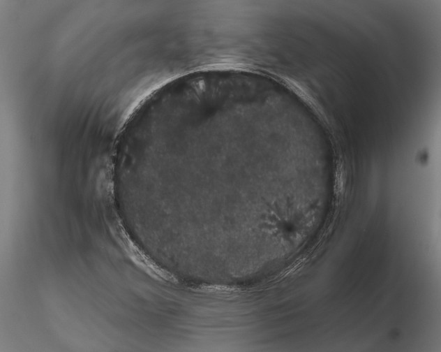 X0000116121356200912141035