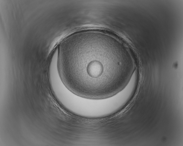 X0000116121357200912141035