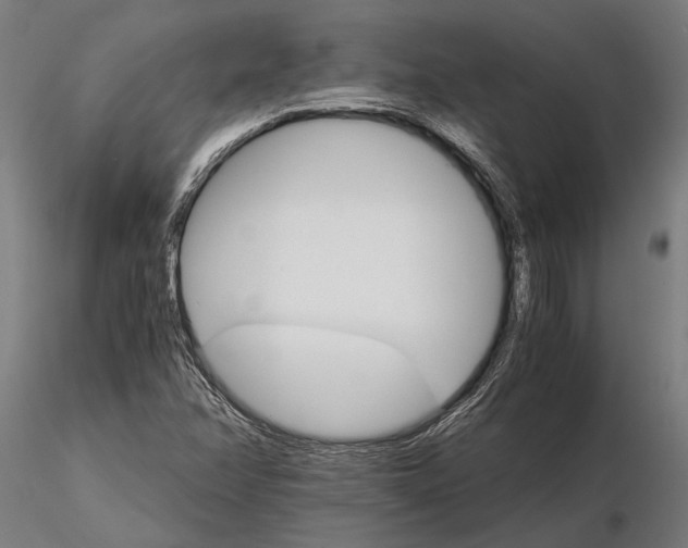 X0000116121358200912141035