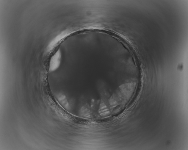 X0000116121359200912141035