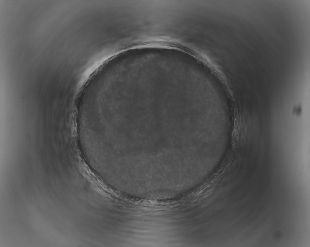 X0000116121360200912141035