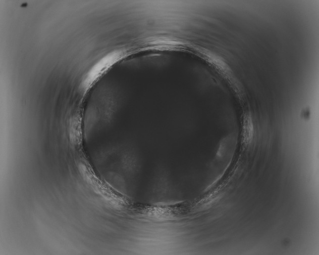 X0000116121362200912141035