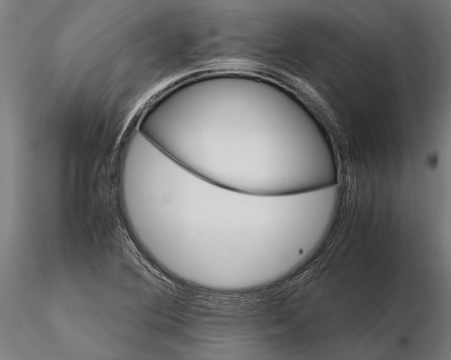 X0000116121364200912141035