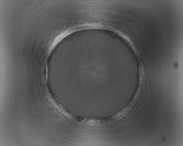 X0000116121365200912141035