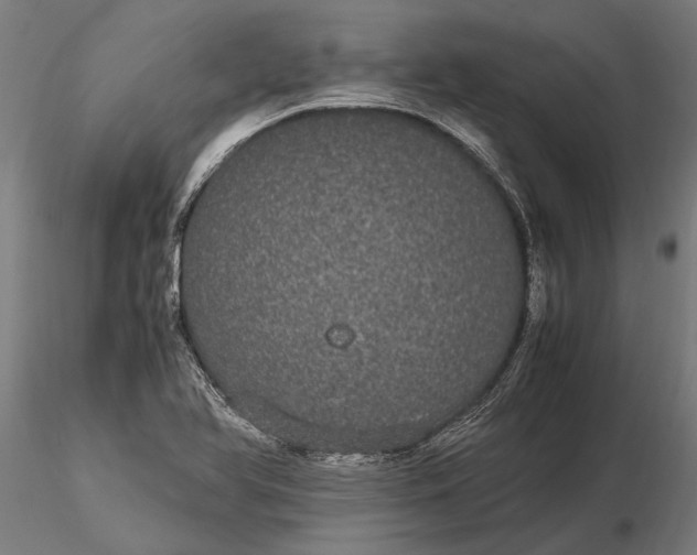 X0000116121366200912141035