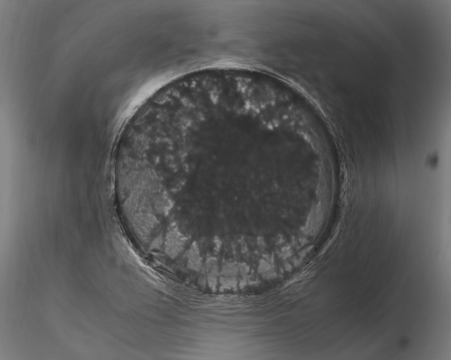 X0000116121367200912141035