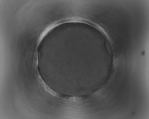 X0000116121368200912141035