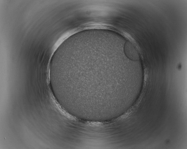 X0000116121370200912141035