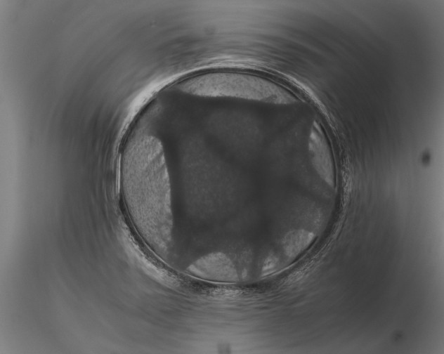 X0000116121371200912141035