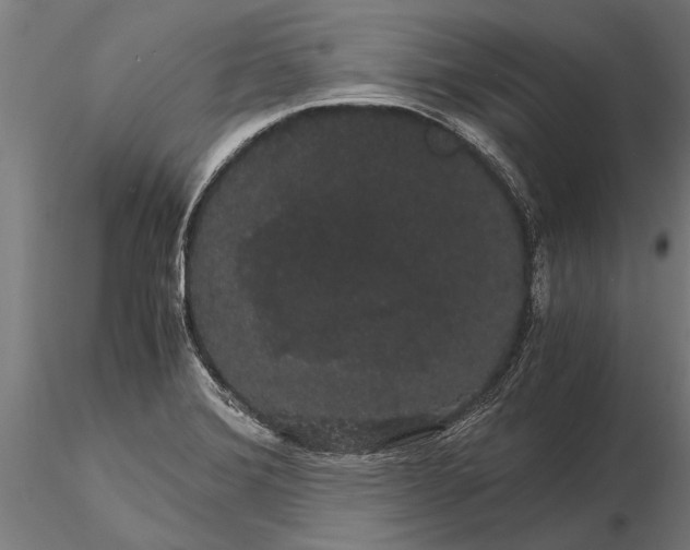 X0000116121372200912141035